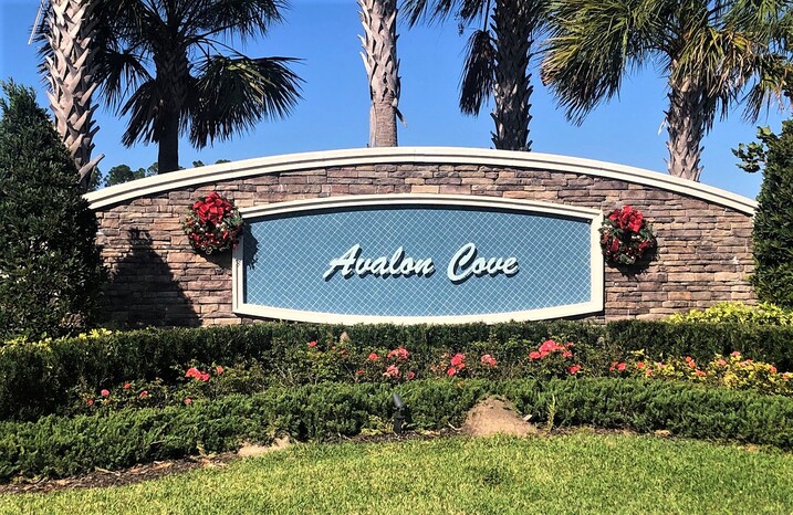 Avalon Cove Winter Garden FL Homes For Sale