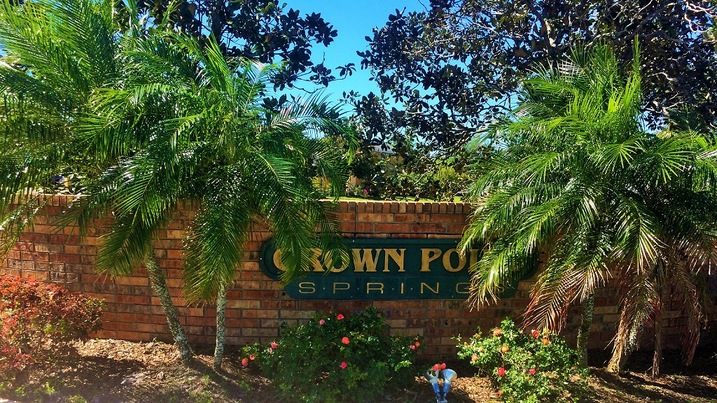 Crown Point Springs Winter Garden FL Homes For Sale