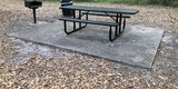Chapin Station Picnic Table & Grill