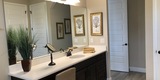 North Haven by DR Horton Master Bath Twin Sinks