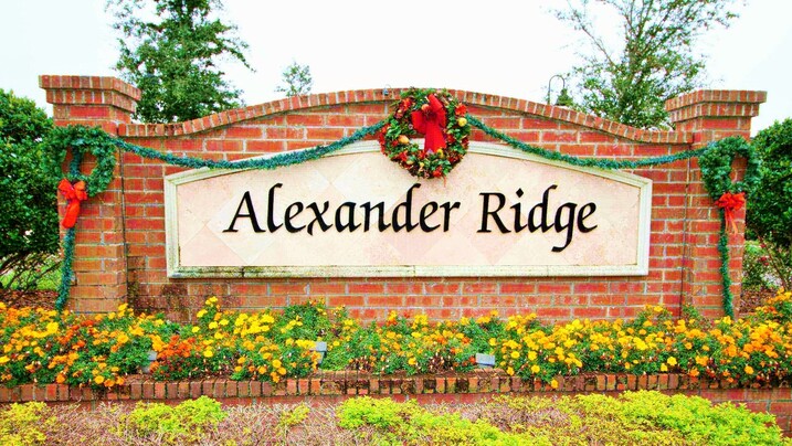 Alexander Ridge Blvd Winter Garden FL